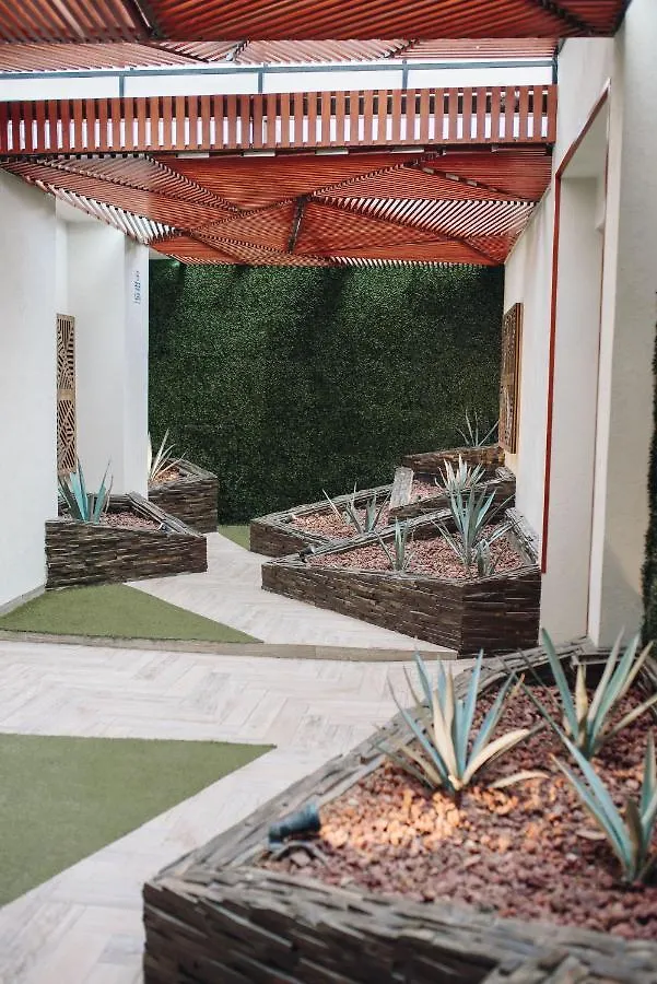 Hotel Dali Plaza Ejecutivo Guadalajara
