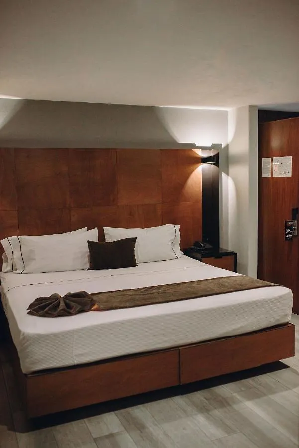 Hotel Dali Plaza Ejecutivo Guadalajara
