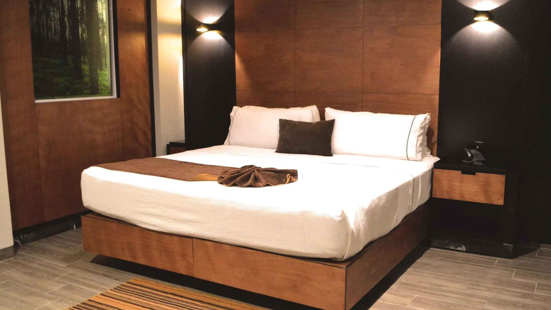 Hotel Dali Plaza Ejecutivo Guadalajara